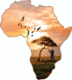 Ultimate Safaris